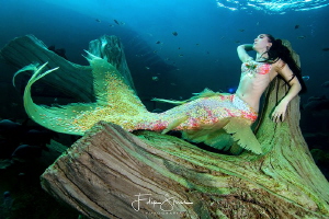Mermaid Celine, TODI, Belgium by Filip Staes 